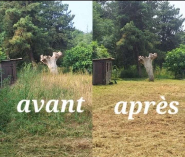 Débroussaillage